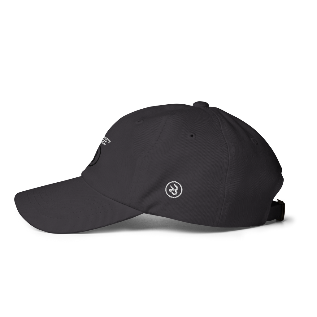 Blendze™ Hat