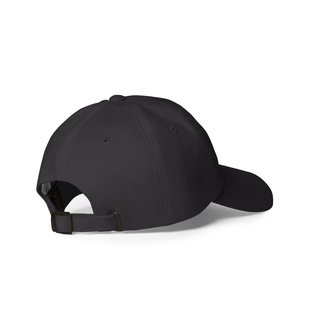 Blendze™ Hat