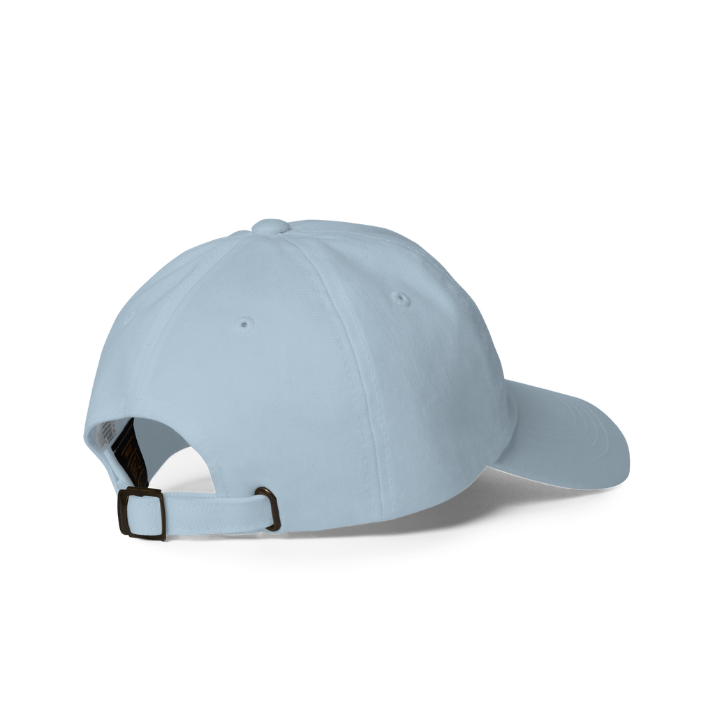 Blendze™ Hat