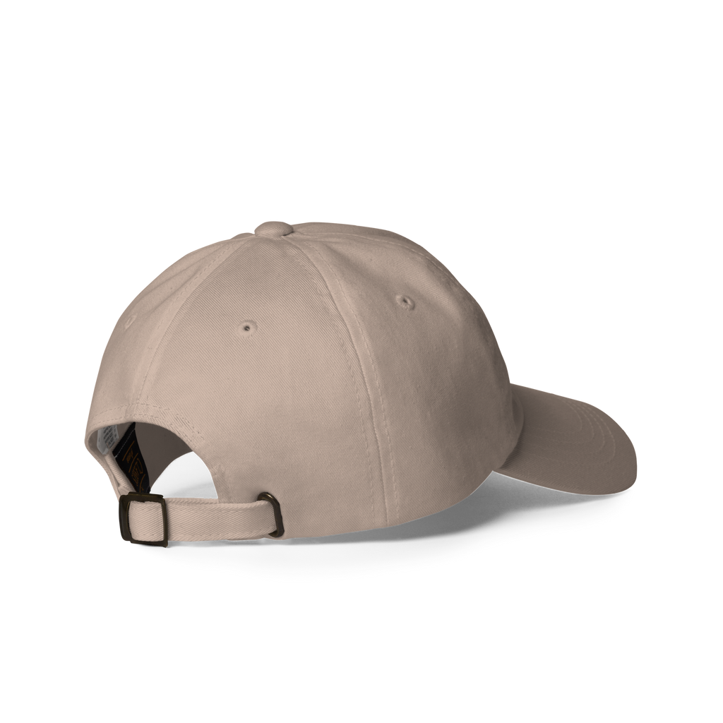 Blendze™ Hat