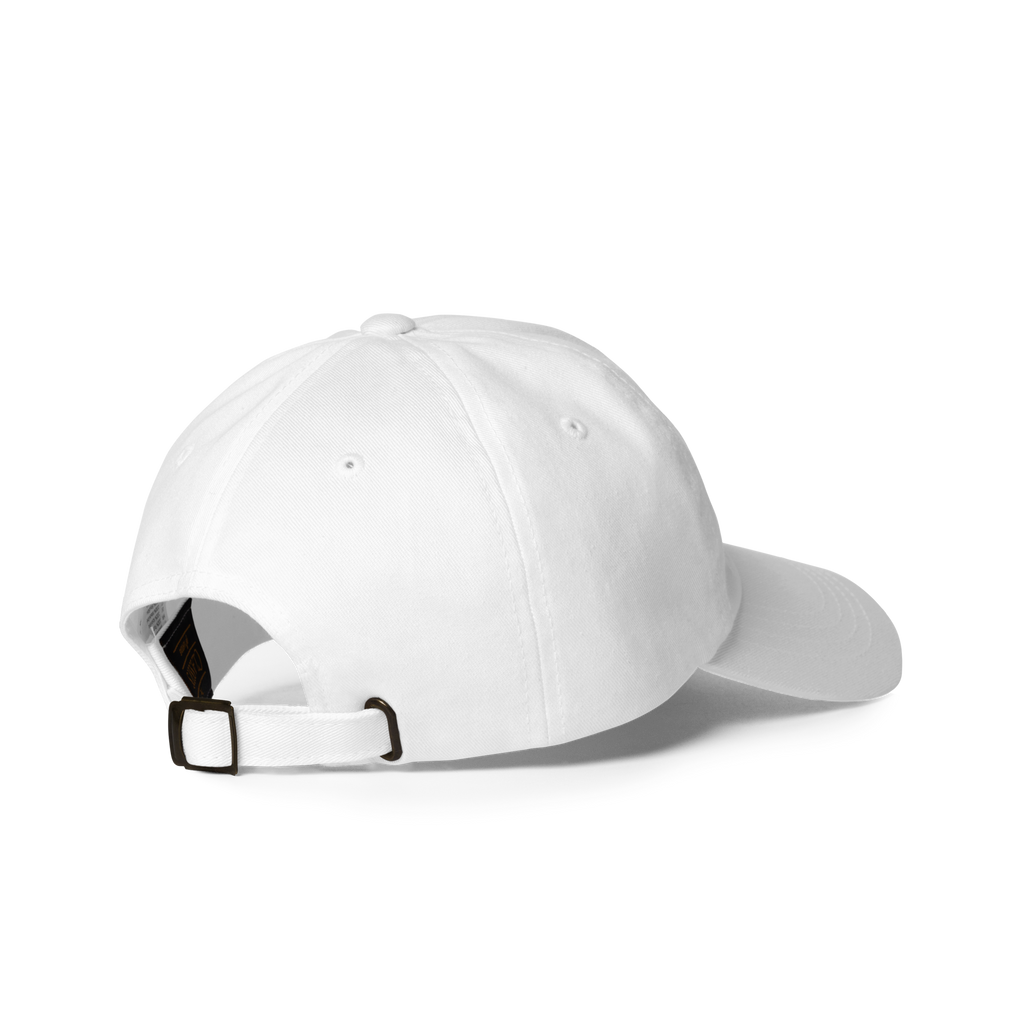 Blendze™ Hat