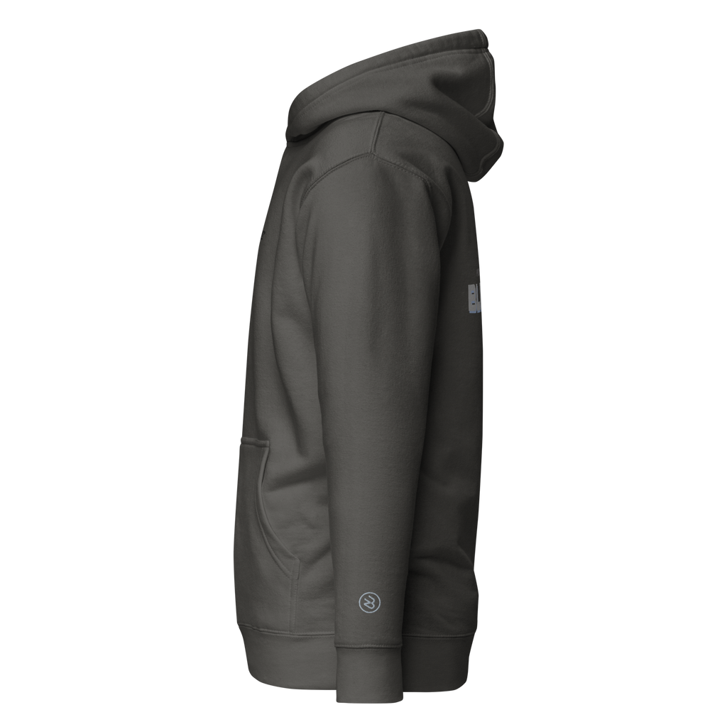 Hoodie Prove them Wrong - Blendze™