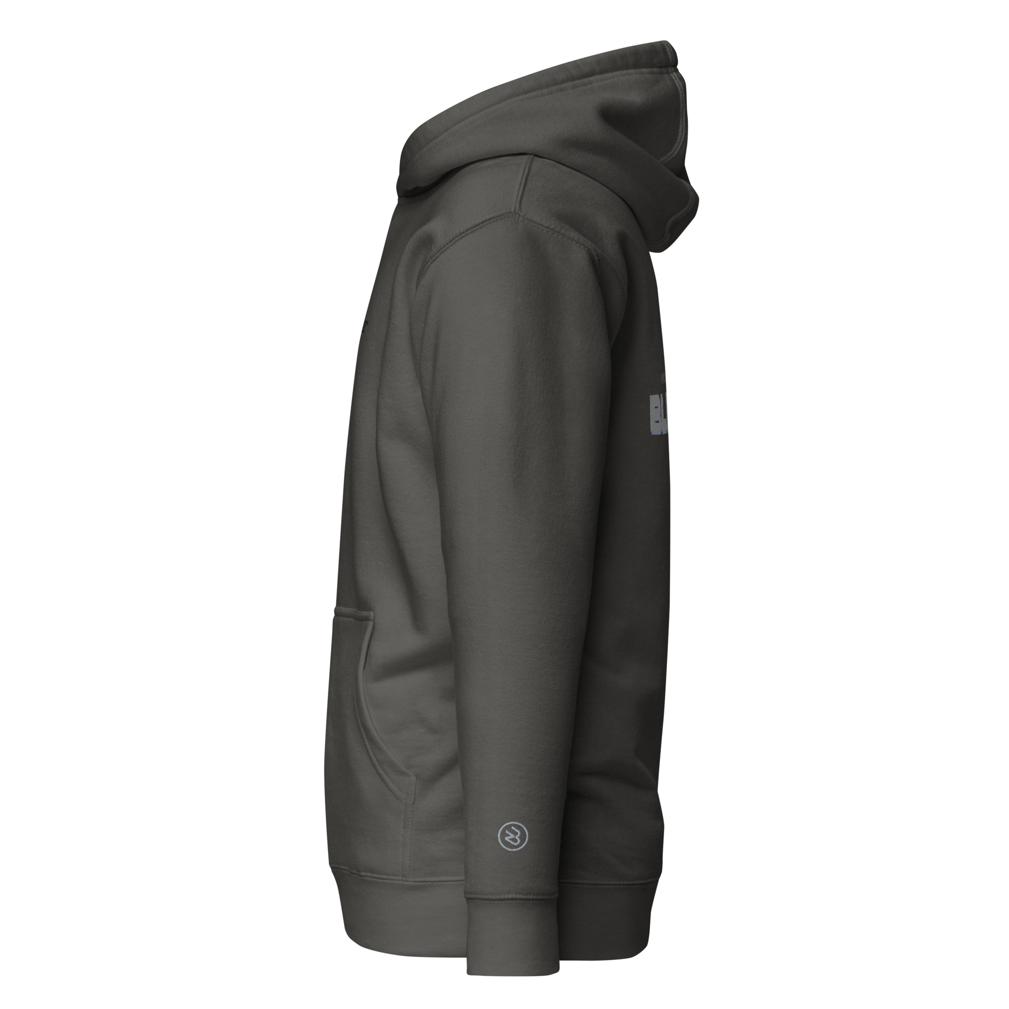 Hoodie Prove them Wrong - Blendze™